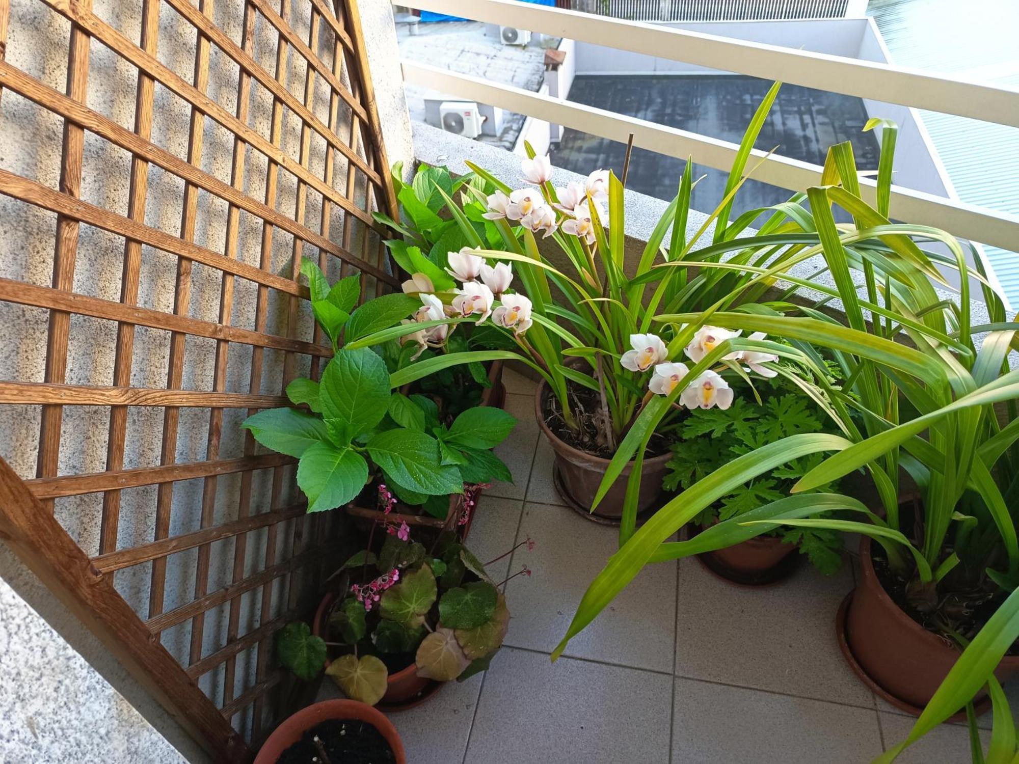 Vivienda Caseiro Ourense Exterior photo